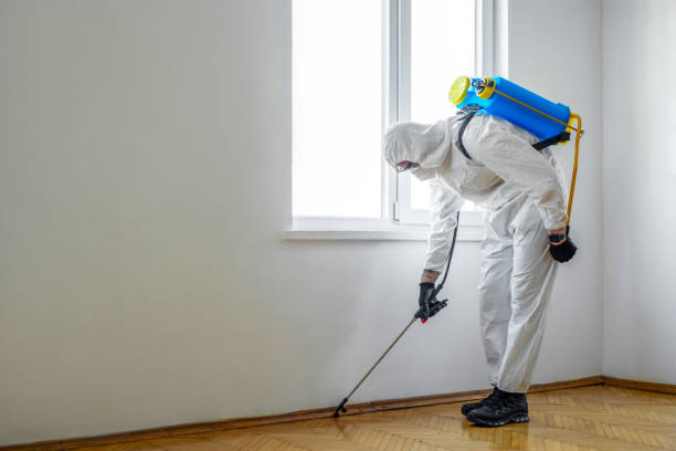 Best Pest Inspection Near Me  in Crockett, TX