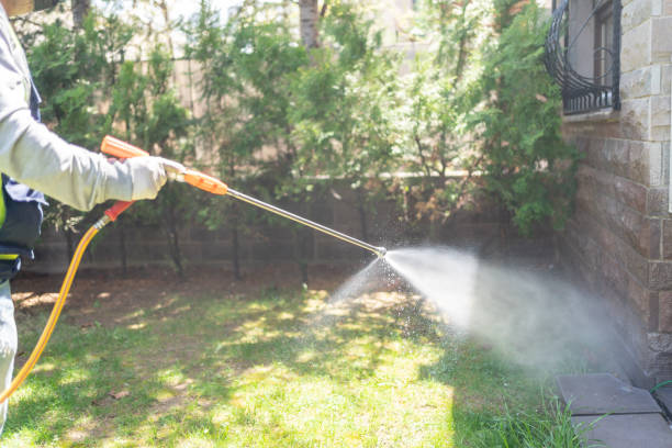 Bird Control in Crockett, TX