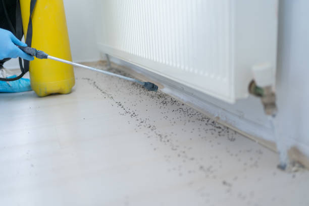 Best Wildlife Control Services  in Crockett, TX