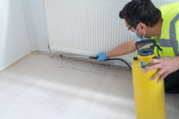 Best Flea Control Services  in Crockett, TX
